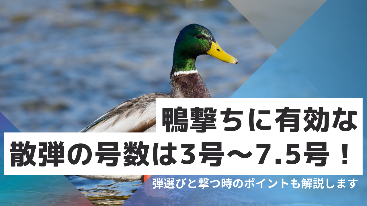 鴨 リード量7.5 散弾